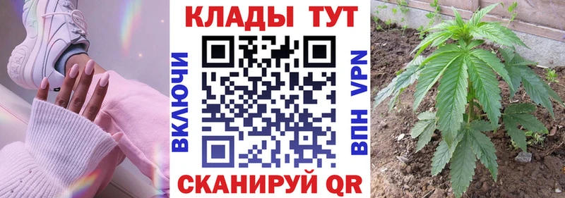 Где продают наркотики Пересвет Гашиш  Бошки Шишки  КОКАИН  A-PVP  Галлюциногенные грибы  Меф 