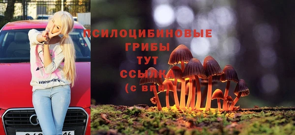 метадон Россошь